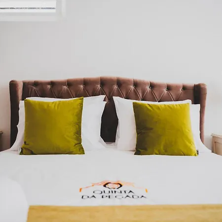 カントリーハウス Da Quinta Da Pegada オビドス